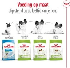 Royal Canin Hondenvoer X-Small Adult 1,5 Kg -Beeztees || ROYAL CANIN || FLEXI Verkoopwinkel 3182550793728 5