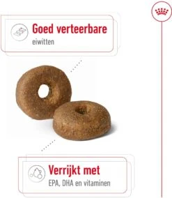 Royal Canin Hondenvoer Maxi Ageing 8+ 15 Kg -Beeztees || ROYAL CANIN || FLEXI Verkoopwinkel 3182550803113 5