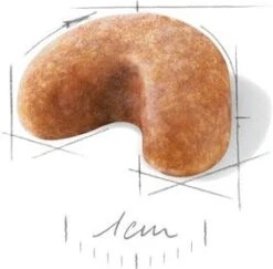 Royal Canin Hondenvoer French Bulldog Puppy 3 Kg -Beeztees || ROYAL CANIN || FLEXI Verkoopwinkel 3182550811705 3