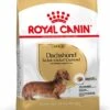Royal Canin Hondenvoer Dachshund Adult 7,5 Kg -Beeztees || ROYAL CANIN || FLEXI Verkoopwinkel 3182550812016 1