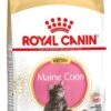 Royal Canin Kattenvoer Maine Coon Kitten 2 Kg
