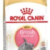 Royal Canin Kattenvoer British Shorthair Kitten 2 Kg 1 Royal Canin Kattenvoer British Shorthair Kitten 2 Kg -Beeztees || ROYAL CANIN || FLEXI Verkoopwinkel 3182550816533 1