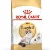 Royal Canin Kattenvoer Ragdoll Adult 2 Kg -Beeztees || ROYAL CANIN || FLEXI Verkoopwinkel 3182550825351 0 1