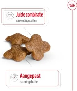 Royal Canin Hondenvoer Mini Adult 8+ 8 Kg -Beeztees || ROYAL CANIN || FLEXI Verkoopwinkel 3182550831406 3