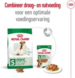 Royal Canin Hondenvoer Mini Adult 8+ 8 Kg -Beeztees || ROYAL CANIN || FLEXI Verkoopwinkel 3182550831406 6