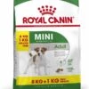 Royal Canin Hondenvoer Mini Adult 8 Kg + 1 Kg -Beeztees || ROYAL CANIN || FLEXI Verkoopwinkel 3182550835336 2 1