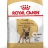 Royal Canin Hondenvoer French Bulldog Adult 9 Kg -Beeztees || ROYAL CANIN || FLEXI Verkoopwinkel 3182550846042 1