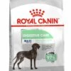 Royal Canin Hondenvoer Digestive Care Maxi 3 Kg -Beeztees || ROYAL CANIN || FLEXI Verkoopwinkel 3182550852494 1