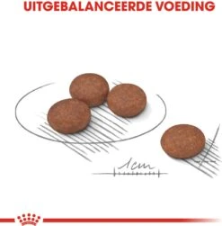 Royal Canin Hondenvoer Digestive Care Mini 3 Kg -Beeztees || ROYAL CANIN || FLEXI Verkoopwinkel 3182550894012 3