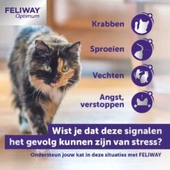 Feliway Optimum Navulling 48 Ml -Beeztees || ROYAL CANIN || FLEXI Verkoopwinkel 3411113030469 3