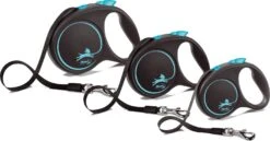 Flexi Hondenriem Rollijn Black Design Tape L Blauw 5 M -Beeztees || ROYAL CANIN || FLEXI Verkoopwinkel 4000498034132 3