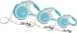 Flexi Hondenriem Rollijn New Comfort Tape XS Lichtblauw 3 M -Beeztees || ROYAL CANIN || FLEXI Verkoopwinkel 4000498043417 3