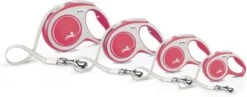 Flexi Hondenriem Rollijn New Comfort Tape XS Rood 3 M -Beeztees || ROYAL CANIN || FLEXI Verkoopwinkel 4000498043424 3