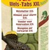 Sera Visvoer Wels-Tabs XXL Nature 250 Ml -Beeztees || ROYAL CANIN || FLEXI Verkoopwinkel 4001942004985 1
