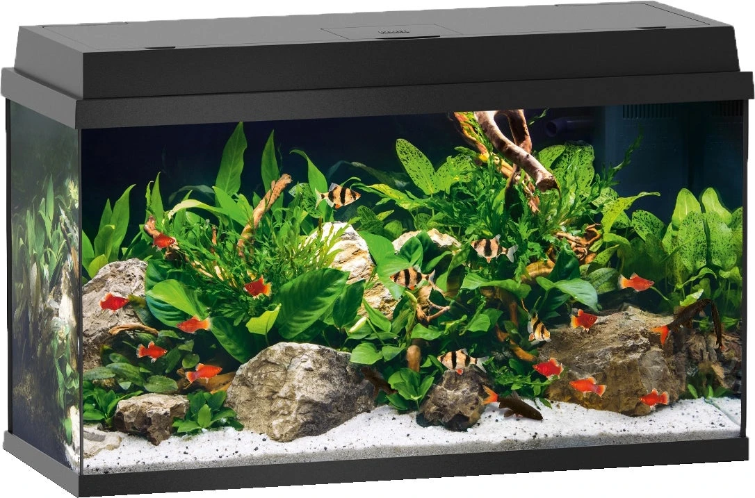 Juwel Aquarium Primo 110 LED Zwart 82 X 37 X 41,5 Cm 3 Juwel Aquarium Primo 110 LED Zwart 82 X 37 X 41,5 Cm