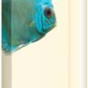 Juwel Aquarium Verlichting HiLite Nature T5 54 W 120 Cm -Beeztees || ROYAL CANIN || FLEXI Verkoopwinkel 4022573864564
