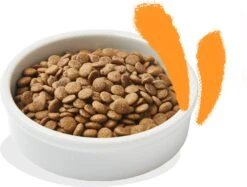 Edgard & Cooper Kattenvoer Kip Adult 2 Kg -Beeztees || ROYAL CANIN || FLEXI Verkoopwinkel 5407009640353 2