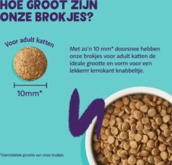 Edgard & Cooper Kattenvoer Zalm Adult 4 Kg -Beeztees || ROYAL CANIN || FLEXI Verkoopwinkel 5407009640407 4