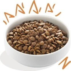 Edgard & Cooper Hondenvoer Verse Scharrelkip Adult 7 Kg -Beeztees || ROYAL CANIN || FLEXI Verkoopwinkel 5425039485027 3