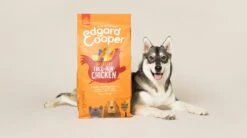 Edgard & Cooper Hondenvoer Verse Scharrelkip Adult 12 Kg -Beeztees || ROYAL CANIN || FLEXI Verkoopwinkel 5425039485034 7