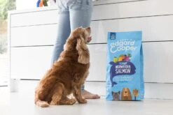 Edgard & Cooper Hondenvoer Verse Noorse Zalm Adult 2,5 Kg -Beeztees || ROYAL CANIN || FLEXI Verkoopwinkel 5425039485058 6