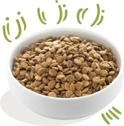 Edgard & Cooper Hondenvoer Verse Graslam Adult 2,5 Kg -Beeztees || ROYAL CANIN || FLEXI Verkoopwinkel 5425039485096 3