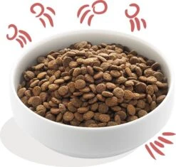 Edgard & Cooper Hondenvoer Verse Scharrelkip En Noorse Zalm Senior 7 Kg -Beeztees || ROYAL CANIN || FLEXI Verkoopwinkel 5425039485188 3