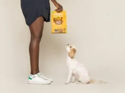 Edgard & Cooper Hondenvoer Bio Kalkoen En Kip Adult 2,5 Kg -Beeztees || ROYAL CANIN || FLEXI Verkoopwinkel 5425039485256 6