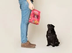 Edgard & Cooper Hondenvoer Bio Rund En Kip Adult 2,5 Kg -Beeztees || ROYAL CANIN || FLEXI Verkoopwinkel 5425039485287 6