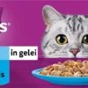 Whiskas Kattenvoer In Gelei Vis Selectie Vis Adult 85 G 80 Stuks -Beeztees || ROYAL CANIN || FLEXI Verkoopwinkel 5900951302374 0 1