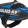 Julius K9 Hondentuig IDC Baby Blauw 29-36 Cm -Beeztees || ROYAL CANIN || FLEXI Verkoopwinkel 5999053616021