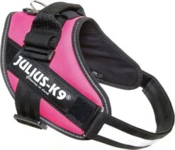 Julius K9 Hondentuig IDC Roze 58-76 Cm