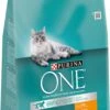 Purina One Bifensis Kattenvoer Adult Kip & Volkorenrijst 3 Kg -Beeztees || ROYAL CANIN || FLEXI Verkoopwinkel 7613035618794 1 1