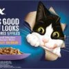 Felix Kattenvoer In Gelei En Saus Elke Dag Feest Mix Selectie Adult 85 G 44 Stuks 2 Felix Kattenvoer In Gelei En Saus Elke Dag Feest Mix Selectie Adult 85 G 44 Stuks -Beeztees || ROYAL CANIN || FLEXI Verkoopwinkel 7613039932308 1