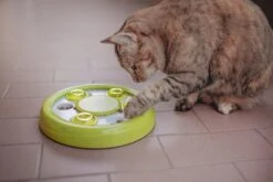 Ferplast Kattenspeelgoed Discover Groen D 23 Cm -Beeztees || ROYAL CANIN || FLEXI Verkoopwinkel 8010690156101 5