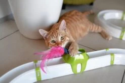 Ferplast Kattenspeelgoed Turbine Circuit 72,4 X 40,8 X 18 Cm 7 Ferplast Kattenspeelgoed Turbine Circuit 72,4 X 40,8 X 18 Cm -Beeztees || ROYAL CANIN || FLEXI Verkoopwinkel 8010690176338 3