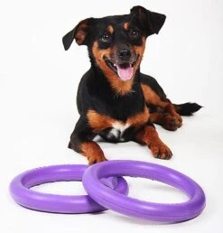 Ferplast Hondenspeelgoed Puller Mini Paars D 18 H 4,7 Cm 2 Stuks -Beeztees || ROYAL CANIN || FLEXI Verkoopwinkel 8010690183015 5