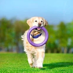 Ferplast Hondenspeelgoed Puller Standaard Paars D 27 H 8,5 Cm 2 Stuks -Beeztees || ROYAL CANIN || FLEXI Verkoopwinkel 8010690183039 6