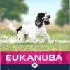 Eukanuba Hondenvoer Mature Senior Middel Kip 12 Kg -Beeztees || ROYAL CANIN || FLEXI Verkoopwinkel 8710255120959 1