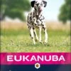 Eukanuba Hondenvoer Adult (extra) Groot Zalm En Gerst 12 Kg -Beeztees || ROYAL CANIN || FLEXI Verkoopwinkel 8710255121062 0 1