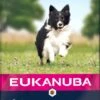 Eukanuba Hondenvoer Senior Klein/middel Lam En Rijst 12 Kg -Beeztees || ROYAL CANIN || FLEXI Verkoopwinkel 8710255121390 0 1