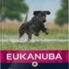 Eukanuba Hondenvoer Junior (extra) Groot Kip 12 Kg -Beeztees || ROYAL CANIN || FLEXI Verkoopwinkel 8710255146034 1