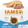 Iams For Vitality Kattenvoer Kitten Vis 10 Kg -Beeztees || ROYAL CANIN || FLEXI Verkoopwinkel 8710255188447 0