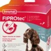Beaphar Teken- En Vlooiendruppels Fiprotec Hond 10-20 Kg 4 Stuks -Beeztees || ROYAL CANIN || FLEXI Verkoopwinkel 8711231154920 0 1