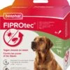 Beaphar Vlooiendruppels Fiprotec Hond 20-40 Kg 4 Stuks -Beeztees || ROYAL CANIN || FLEXI Verkoopwinkel 8711231154937 0 1