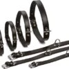 Beeztees Hondenhalsband Leer L Zwart 65 Cm -Beeztees || ROYAL CANIN || FLEXI Verkoopwinkel 8712695052081 1 1