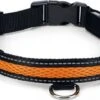Beeztees Hondenhalsband Safety Gear Ruflo Oranje 55-70 X 2,5 Cm 2 Beeztees Hondenhalsband Safety Gear Ruflo Oranje 55-70 X 2,5 Cm -Beeztees || ROYAL CANIN || FLEXI Verkoopwinkel 8712695147848 1