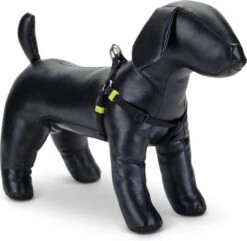 Beeztees Hondentuig Uni Zwart 35-60 X 1,5 Cm