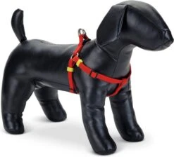 Beeztees Hondentuig Uni Rood 35-60 X 1,5 Cm