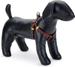 Beeztees Hondentuig Scribbles Zwart 35-60 X 1,5 Cm